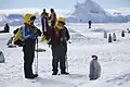Auf einer Insel vor Antarktika: Diese Besucher beobachten junge Kaiserpinguine.
