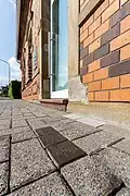 Stolpersteine auf dem Gehweg: Solche Steine erinnern an verfolgte Menschen, die hier mal gelebt haben.