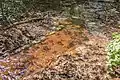 Das Wasser dieser Quelle ist rot, weil es Kontakt mit eisenhaltigem Gestein hatte.