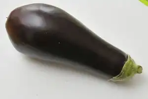 Aubergine