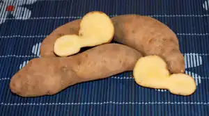 Bamberger Hörnchen