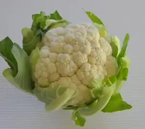 Blumenkohl