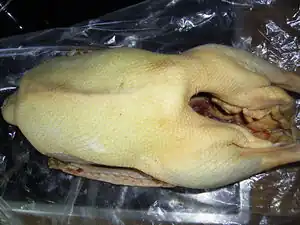 Gans