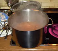 Die Hühnersuppe mit dem Gemüse köcheln lassen.