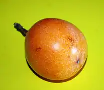 Die Frucht.
