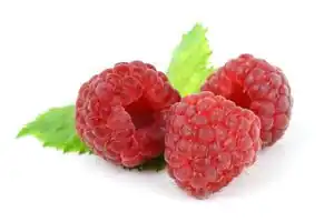 Himbeere