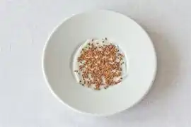 Kresse frisch gesät