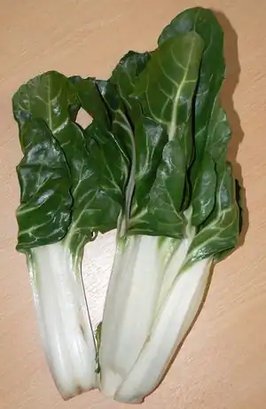 Mangold