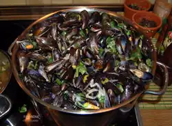 Muscheln kochen