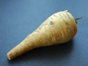 Pastinake