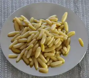 Pinienkern
