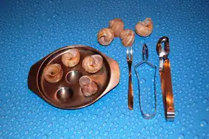 Weinbergschnecke