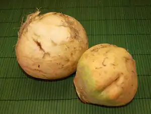 Steckrübe
