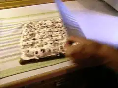 Das Geschirrhandtuch zügig…
