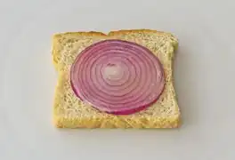 Toast mit Zwiebelscheibe