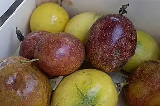 Maracuja