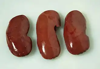 Schweineniere