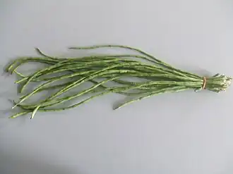 Spargelbohne