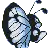 Pokémonsprite 012 Rückseite GS Spaceworld Beta 1997.png