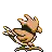 Pokémonsprite 021 Rückseite GS Spaceworld Beta 1997.png
