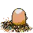 Pokémonsprite 050 Rückseite GS Spaceworld Beta 1997.png