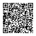 QR-Code 411 Schillernd SoMo.png