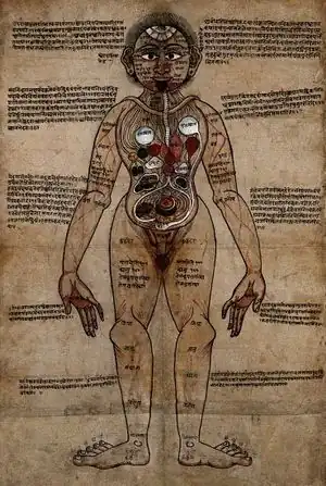 Ayurveda.jpg