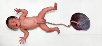 Baby-m10.jpg