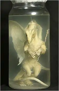 Dragon.jpg