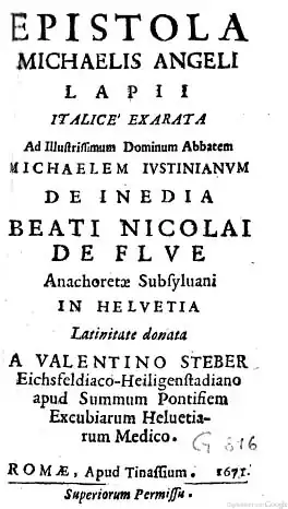 Flue2.jpg