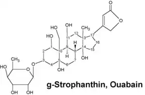 G-strophanthin.jpg