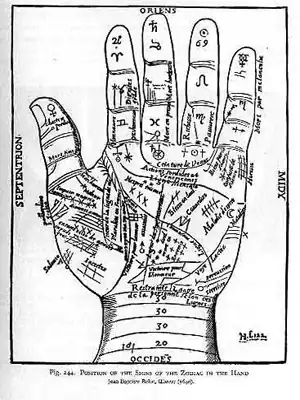 Hand.jpg