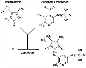 Kryptopyrrol.jpg