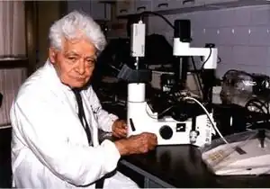 Luigidibella.jpg