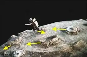 NASA3.jpg