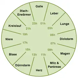 Organuhr.png