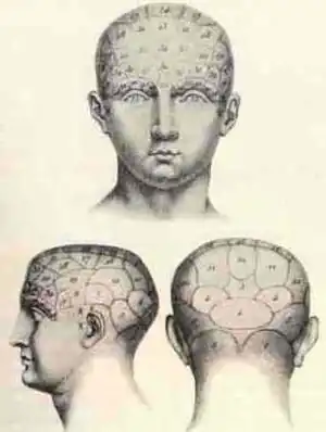 Phrenologie2.jpg