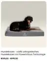 PowerinSoul Hund.jpg