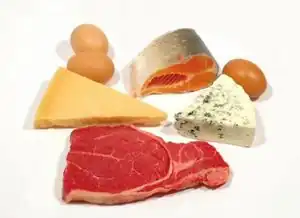 Protein.jpg