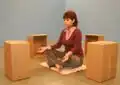 SSRF Empty Box Therapy 4 Kartons.jpg