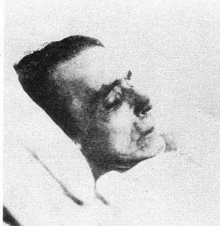 Steinertot.jpg
