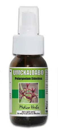 Umckaloabo.jpg