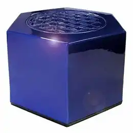 Vita-Tronic.jpg