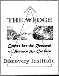 Wedge.JPG