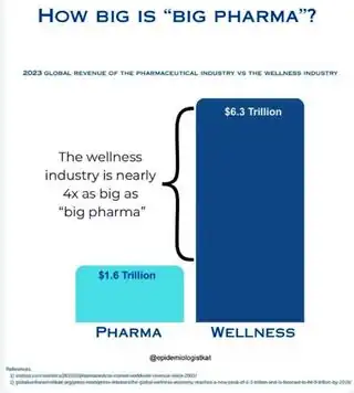 Wellness Big Pharma.jpg