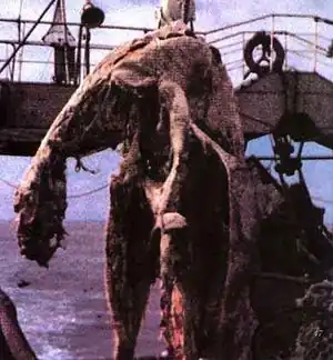 Zmmonster1.jpg