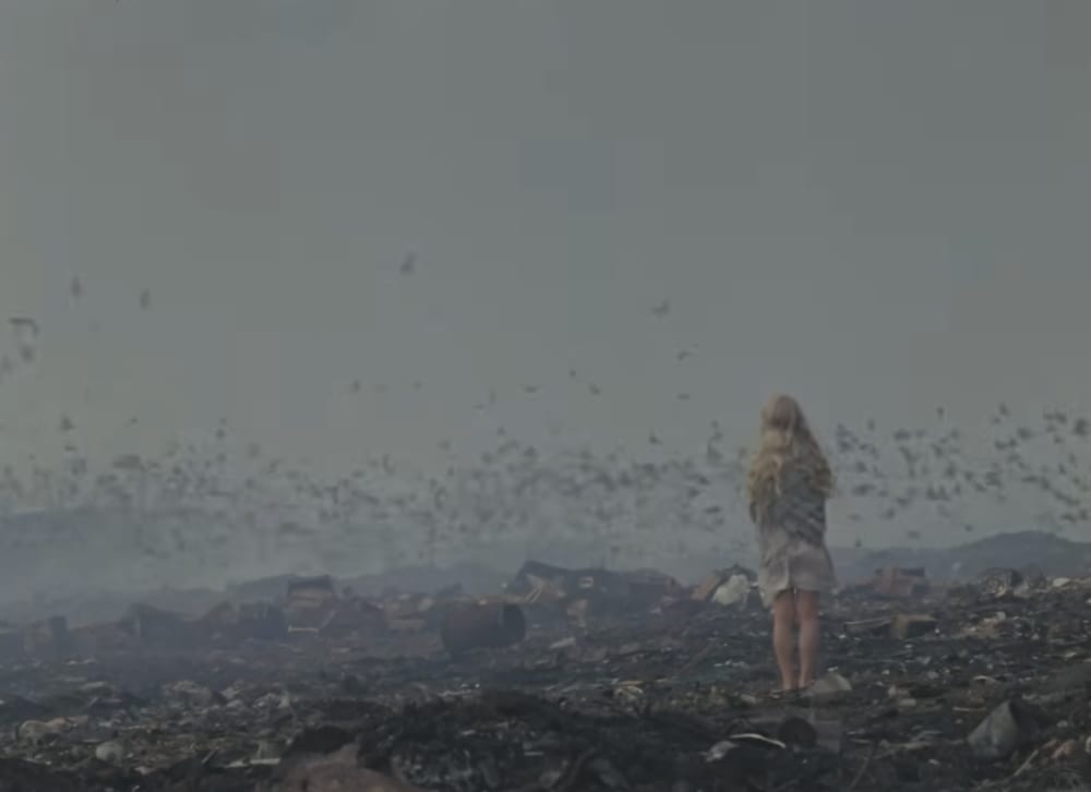 Wounded Birds, 1977