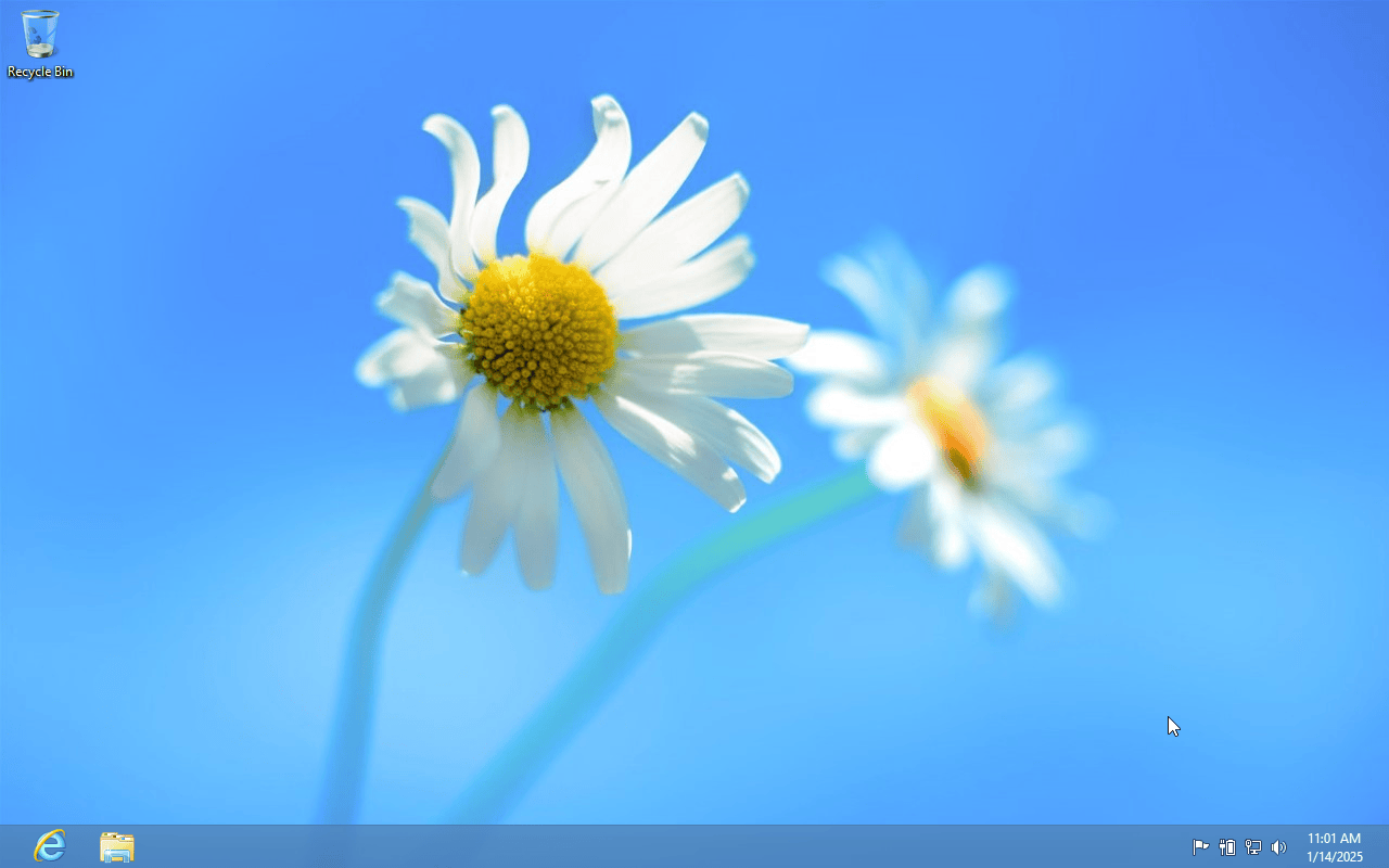 Windows 8 Pro