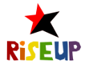 RiseupVPN to OpenVPN icon