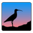 ./curlew_logo.png